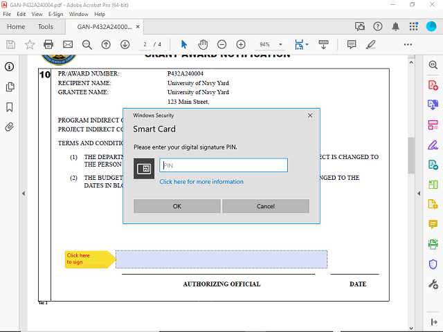 Screen image of this step