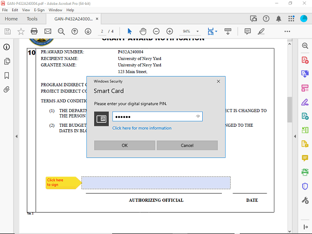 Screen image of this step