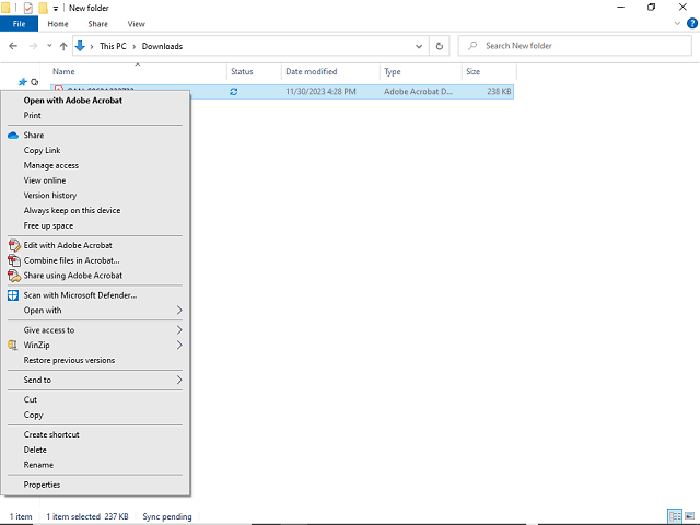 Screen image of this step