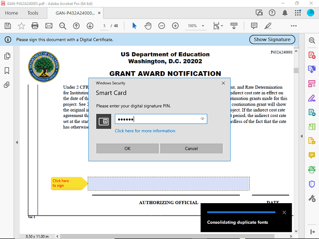 Screen image of this step