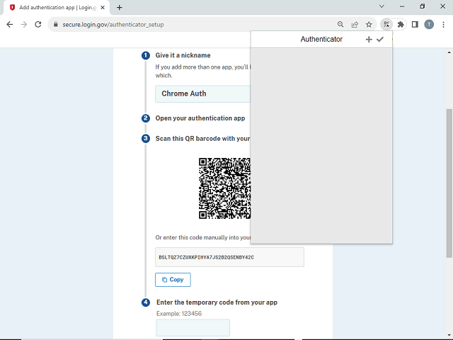 Screen image of this step
