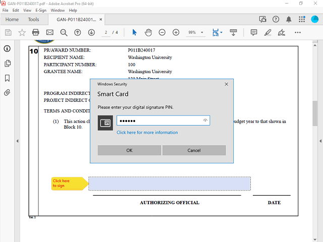 Screen image of this step