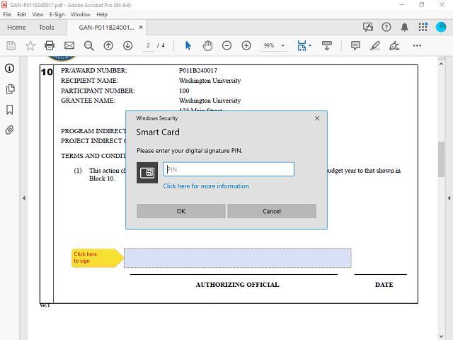 Screen image of this step
