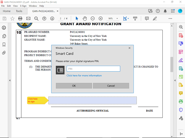 Screen image of this step