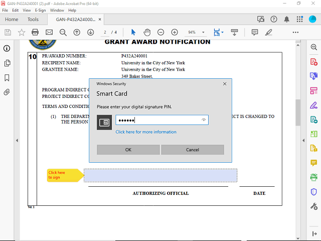 Screen image of this step
