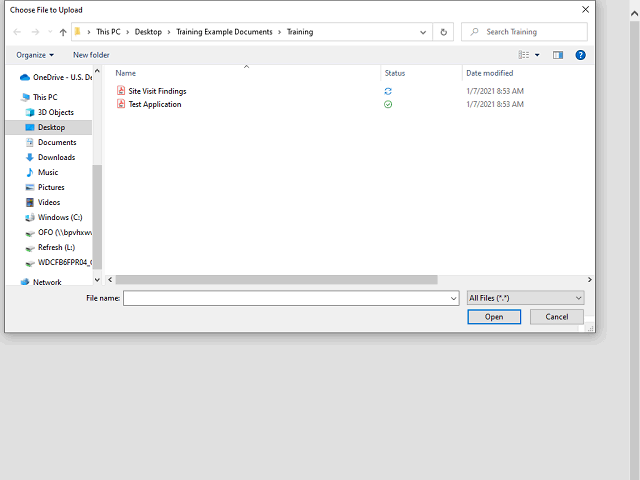 Screen image of this step